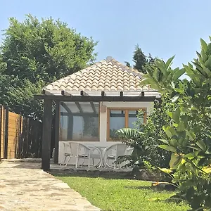 Sol De 5 Bolonia